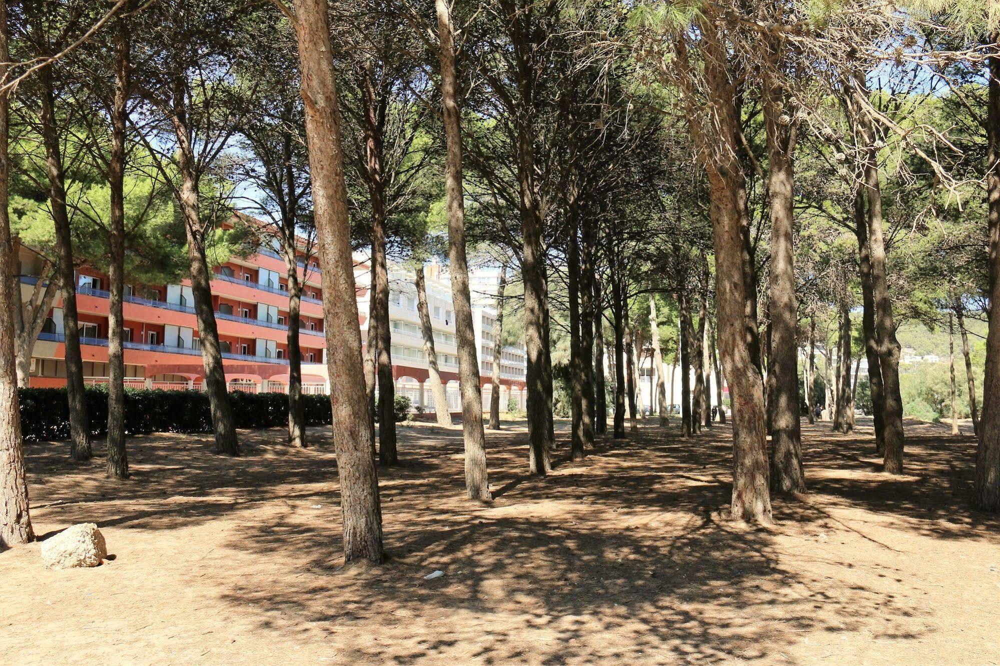 Rvapartaments La Pineda 레스타르티트 외부 사진